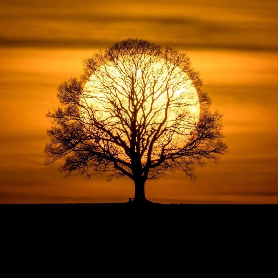 Lyme-kór és Sclerosis Multiplex